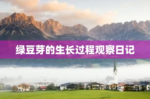 绿豆芽的生长过程观察日记 绿豆芽的生长过程观察日记