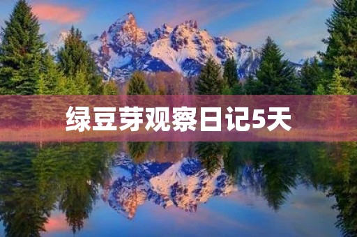 绿豆芽观察日记5天 绿豆芽观察日记5天