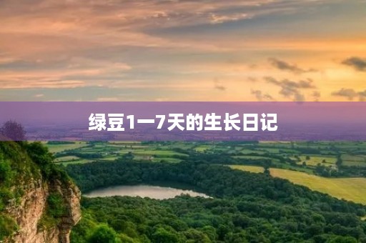 绿豆1一7天的生长日记 绿豆1一7天的生长日记