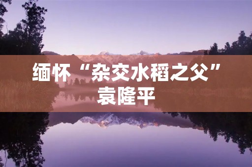 缅怀“杂交水稻之父”袁隆平