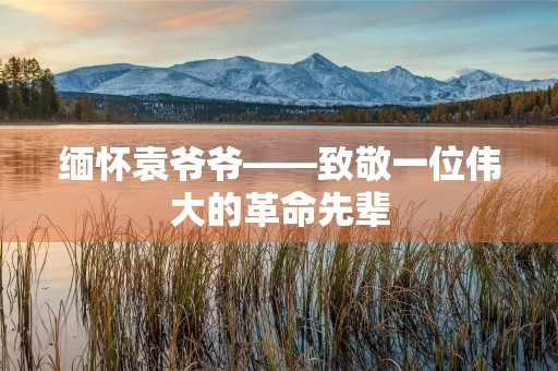 缅怀袁爷爷——致敬一位伟大的革命先辈