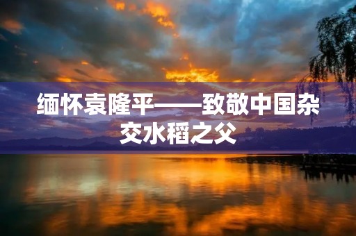缅怀袁隆平——致敬中国杂交水稻之父 缅怀袁隆平——致敬中国杂交水稻之父