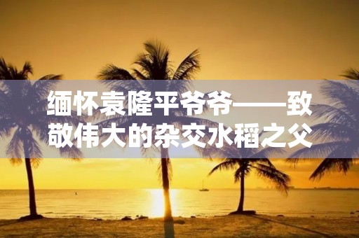 缅怀袁隆平爷爷——致敬伟大的杂交水稻之父 缅怀袁隆平爷爷——致敬伟大的杂交水稻之父