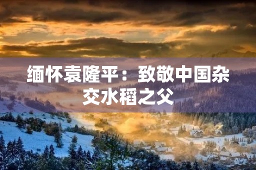 缅怀袁隆平:致敬中国杂交水稻之父 缅怀袁隆平:致敬中国杂交水稻之父