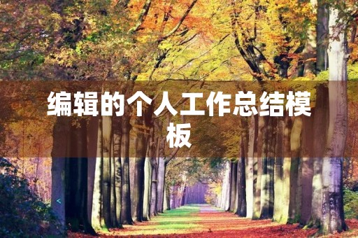 编辑的个人工作总结模板