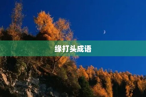 缘打头成语
