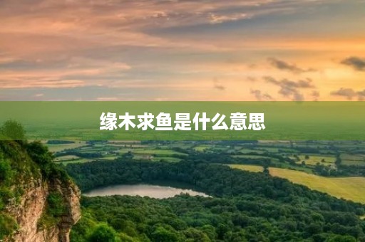 缘木求鱼是什么意思