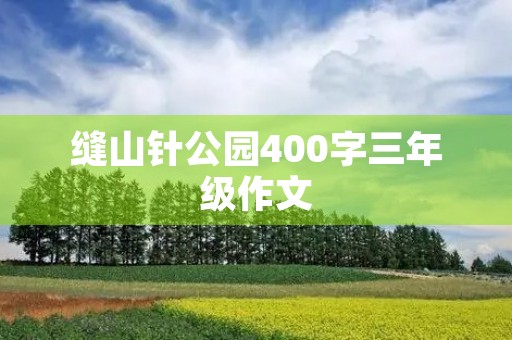 缝山针公园400字三年级作文
