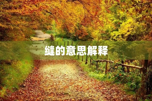 缝的意思解释(缝)
