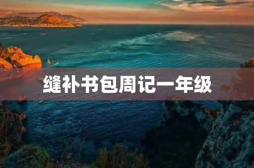 缝补书包周记一年级