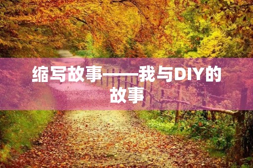 缩写故事——我与DIY的故事 缩写故事——我与DIY的故事