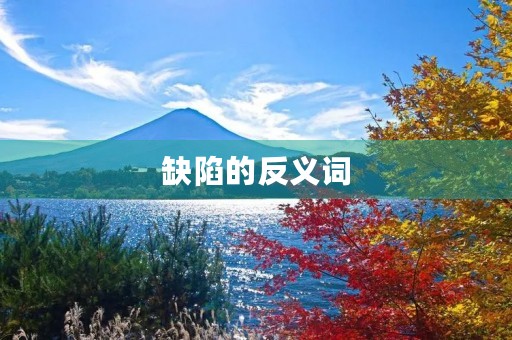 缺陷的反义词(缺陷的反义词)