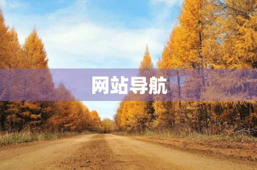 网站导航 网站导航