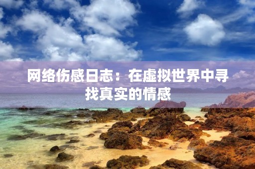 网络伤感日志：在虚拟世界中寻找真实的情感