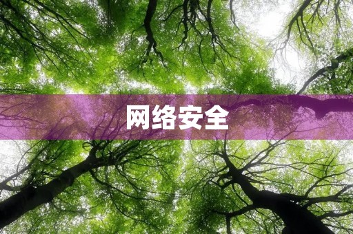 网络安全 网络安全