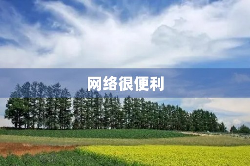 网络很便利 网络很便利