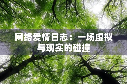 网络爱情日志：一场虚拟与现实的碰撞