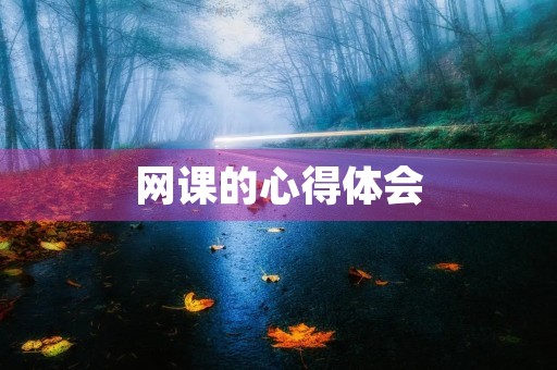 网课的心得体会