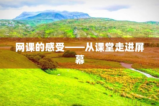 网课的感受——从课堂走进屏幕 网课的感受——从课堂走进屏幕