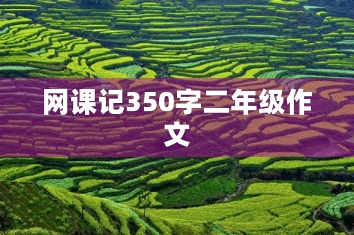 网课记350字二年级作文