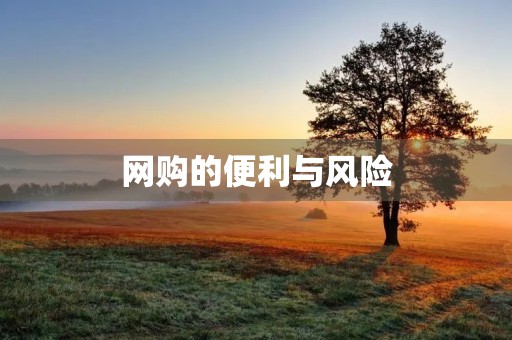 网购的便利与风险