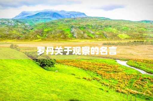 罗丹关于观察的名言(罗丹关于观察的名言有哪些)