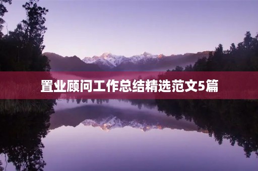 置业顾问工作总结精选范文5篇