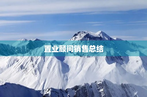 置业顾问销售总结 置业顾问销售总结