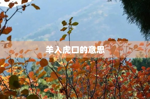 羊入虎口的意思(羊入虎口的意思) 羊入虎口的意思(羊入虎口的意思)