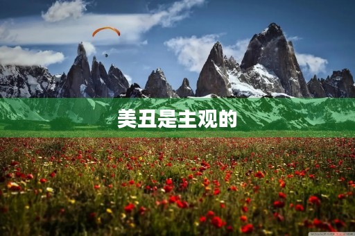 美丑是主观的,不应该成为评价他人的标准 美丑是主观的,不应该成为评价他人的标准