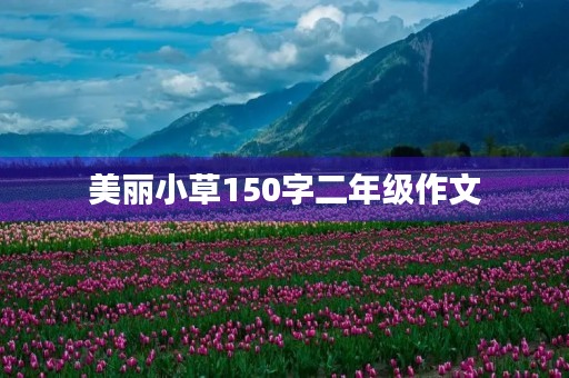 美丽小草150字二年级作文
