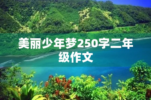 美丽少年梦250字二年级作文
