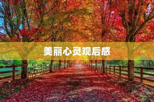 美丽心灵观后感 美丽心灵观后感