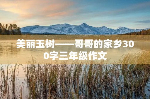 美丽玉树——哥哥的家乡300字三年级作文 美丽玉树——哥哥的家乡300字三年级作文