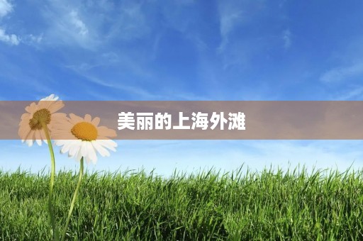 美丽的上海外滩
