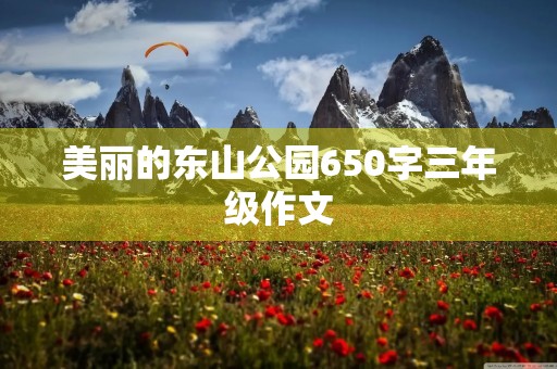 美丽的东山公园650字三年级作文 美丽的东山公园650字三年级作文