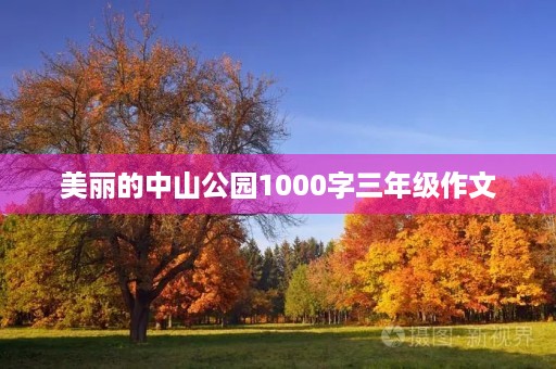 美丽的中山公园1000字三年级作文 美丽的中山公园1000字三年级作文