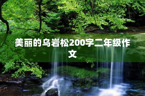 美丽的乌岩松200字二年级作文