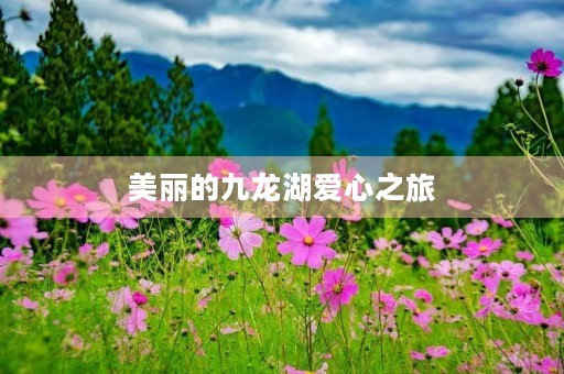 美丽的九龙湖爱心之旅