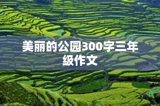 美丽的公园300字三年级作文