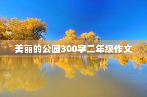 美丽的公园300字二年级作文