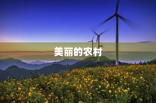 美丽的农村 美丽的农村