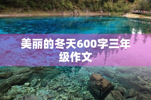 美丽的冬天600字三年级作文