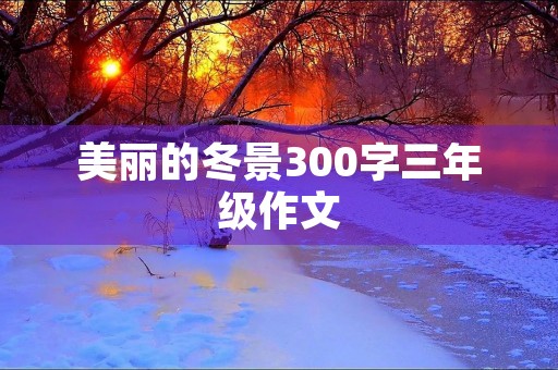 美丽的冬景300字三年级作文