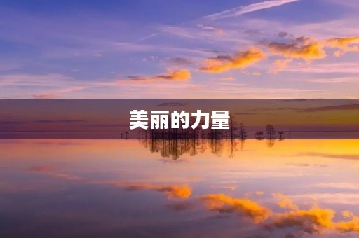 美丽的力量 美丽的力量