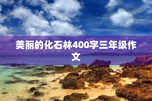 美丽的化石林400字三年级作文 美丽的化石林400字三年级作文