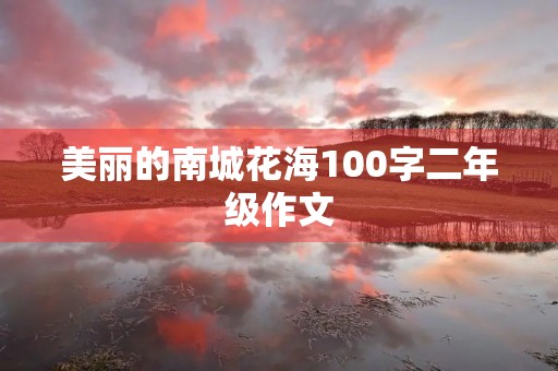 美丽的南城花海100字二年级作文