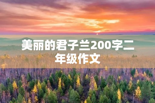 美丽的君子兰200字二年级作文