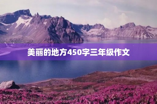美丽的地方450字三年级作文 美丽的地方450字三年级作文