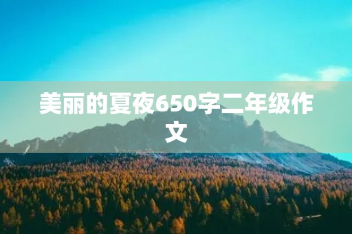 美丽的夏夜650字二年级作文